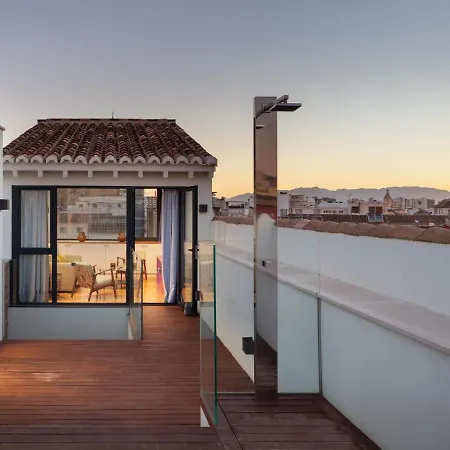 Inmalaga Penthouse Plaza De La Merced *