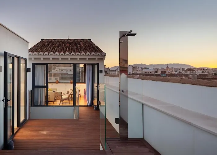 Inmalaga Penthouse Plaza De La Merced *
